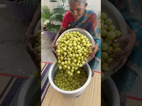 Amla Powder ✅ | Good for skin & Health #amla #shorts