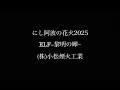 にし阿波の花火2025　「ELF–黎明の曄–」(株)小松煙火工業