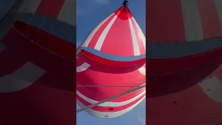 Our favourite sail is out again! Big Red!! #family #sailing #viral