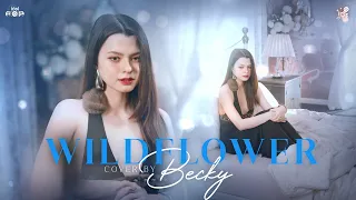 wildflower becky idf cover