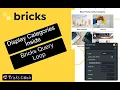 Display Categories in a Bricks Builder Query Loop