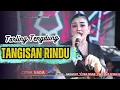 Download Lagu TANGISAN RINDU ~ DEVI ADINDA // CITRA NADA LIVE DESA SALAREUMA (DUSUN WAGE) // CIPICUNG - KUNINGAN