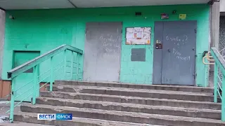 В одном из омских дворов разгорелся скандал по поводу бродячих собак
