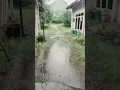 Download Lagu hujan di pagi hari