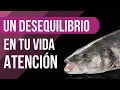 Significado de SONAR con un PESCADO MUERTO