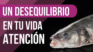Significado de SONAR con un PESCADO MUERTO