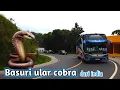 Download Lagu Telolet basuri ular cobra dari india #basuri