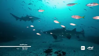 مباشر فعاليات المؤتمر الوزاري الـ 13 لمنظمة التجارة العالمية في أبوظبي في يومه الثالث 