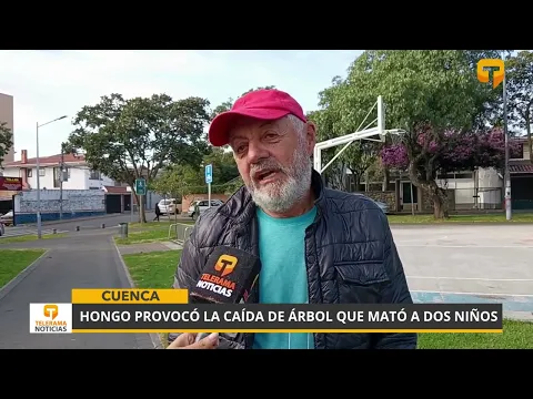 No se pueden predecir caída de árboles según expertos de la EMAC