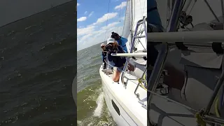 #shorts #sailing #texas #fun #spinnaker #shorts #dolphins