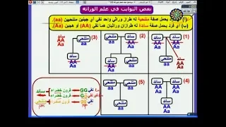 الأحياء لطلاب الشهادة السودانية الوراثة 2 د إدريس جلال 