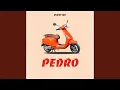 Download Lagu Pedro