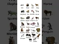 A to Z Animal Names