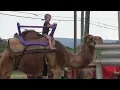 Zoo with exotic animals comes to Lancaster County