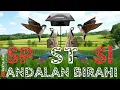 SP ST SI ANDALAN BIRAHI Original by atax walet