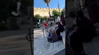  فلسطين القدس فلسطين    دندنها