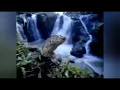 Download Lagu I Love the Blue of Indonesia [1992]