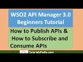 WSO2 API Manager 3 0 Beginners Tutorial How to Publish and Subscribe APIs