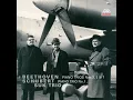 Trio for Piano, Violin and Cello No. 3 in C minor, Op. 1/3 - Andante cantabile con variazioni - Ludwig van Beethoven & Sukovo trio