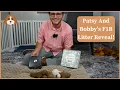 Patsy And Bobby s F1B Litter Reveal