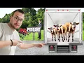 Download Lagu KUPILI SMO 4 TELETA I JOŠ JEDAN NOVI PRIKLJUČAK !! 🐂💰