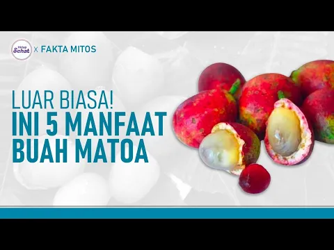 Ragam Manfaat Buah Matoa, Turunkan Hipertensi Hingga Bikin Awet Muda