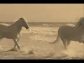 Modest Mouse-(Ocean Breathes Salty)