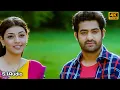 Lagu Suride Suride 4k Video Song || Brindavanam || Jr. Ntr, Samantha, Kajal || S. Thaman || Remastered