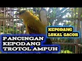 Download Lagu pancingan kepodang trotol muda hutan belajar variasi || durasi panjang