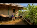 Download Lagu Demi Hidup yang Damai‼️Satu Keluarga Tinggal Di Rumah Terpencil di Tengah Sawah