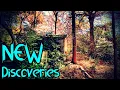 Full CEMETERY TOUR with NEW DISCOVERIES Forest Hill Cemetery