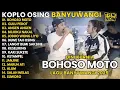 Download Lagu Dini Kurnia - BOHOSO MOTO - GULU PEDOT - ANGEN ANGEN | FULL ALBUM LAGU BANYUWANGI 2025
