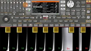 عزف اغنية وردة شارلومانتي قلبي خصه مولاه 