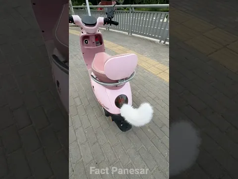 स्कूटी का पूंछ आ गए 🥵😱