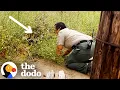 Download Lagu Cat Dumped From Car In State Park Gets Rescued By Hiker | The Dodo