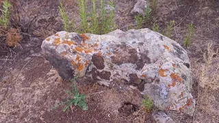 لغز مجسم الضفدع التكنيزي هل يخفي كنز ا أسطوري ا تحت الصخور أسرار لم ت كشف بعد 