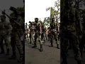 Download Lagu Tarian Perang Regimen Ranger Diraja Taiping 31 Ogos 2019