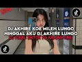 Lagu DJ AKHIRE KOE MILEH LUNGO NINGGAL AKU JEDAG JEDUG DJ AKHIRE LUNGO VIRAL TIKTOK TERBARU 2025