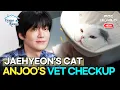I LIVE ALONE Ahn Jae hyeon s Cat Anju Faces His Vet Checkup