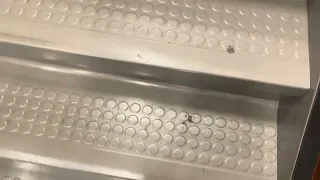 Upstairs at Safeway Millbrae in Millbrae CA