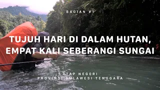 Download GUNUNG MEKONGGA - Atap Negeri Sulawesi Tenggara #1 MP3