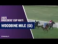 2025 1 million Woodbine Mile G1 at Woodbine Racetrack