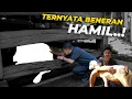 Download Lagu GAK NYANGKA TERNYATA MOLLY BENERAN HAMIL GAESS...!