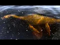 Lagu REAL Loch Ness Monster Footage That Scientists Can't Debunk