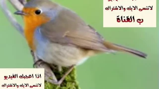 صوت ابو الحناء صوت 4 