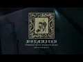 Wormwitch - Exhumed From Flaming Stars (New Single - Official Visualizer)