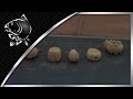 Download Lagu CARP FISHING TIPS ON LEADS - NASH TT LEADS WITH ALAN BLAIR - NASH TACKLE ON NASH TV