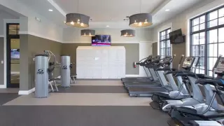 Shalimar at Davie Apartments in Davie FL - ForRent com
