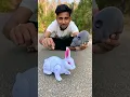 Download Lagu RC Mouse 🐁 and Rabbit Unboxing