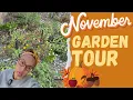November Desert Gardening El Paso Texas 8a Vegetable Flower Garden Tour